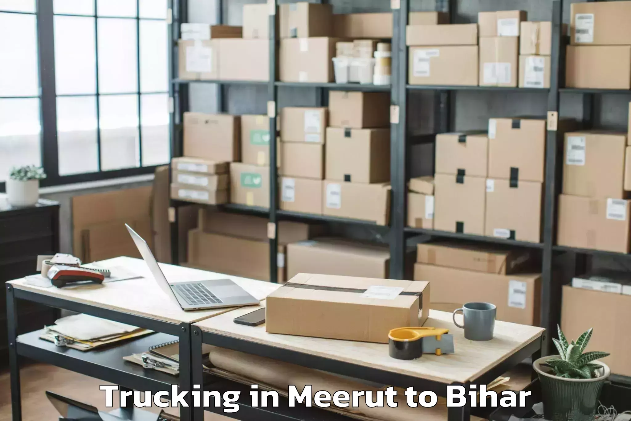 Book Meerut to Haspura Trucking Online